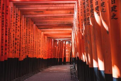 Tailored Full Day Private Experience of Kyoto for 1 Day Visitors