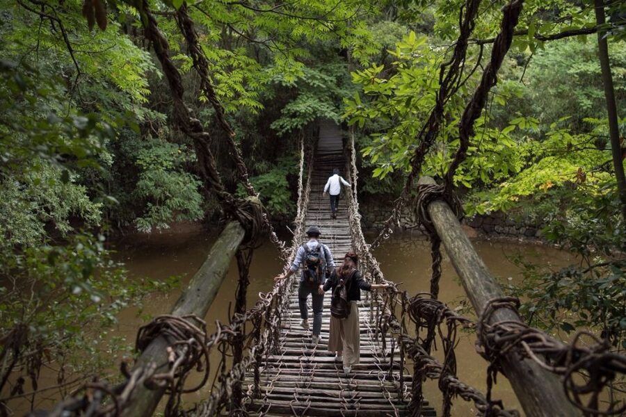 Takamatsu: Private Customizable Tour with Local Guide - Key things that make this Takamatsu private tour worth it