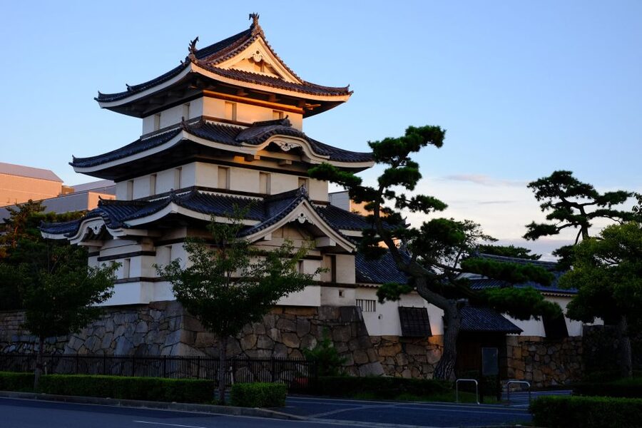 Takamatsu: Private Customizable Tour with Local Guide - Takamatsu Castle ruins: context for the stones
