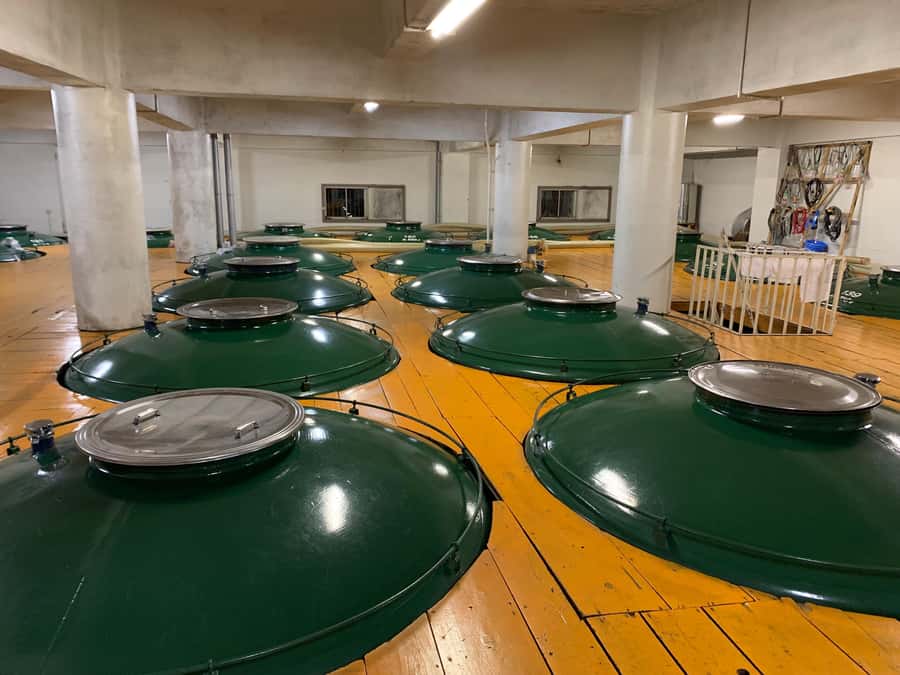 Takayama: Authentic Sake Tasting at a Historic Brewery - The Guide Factor: Takumi さん and the Fun, Clear Delivery