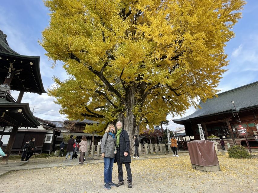 Takayama: Private Walking Tour with a Local Guide - What you get with a private licensed local guide