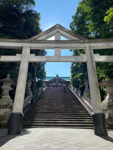 Tameike: Exploring the Heart of Japanese Politics Tour - Logistics that affect comfort: shoes, cash, and the walking rhythm