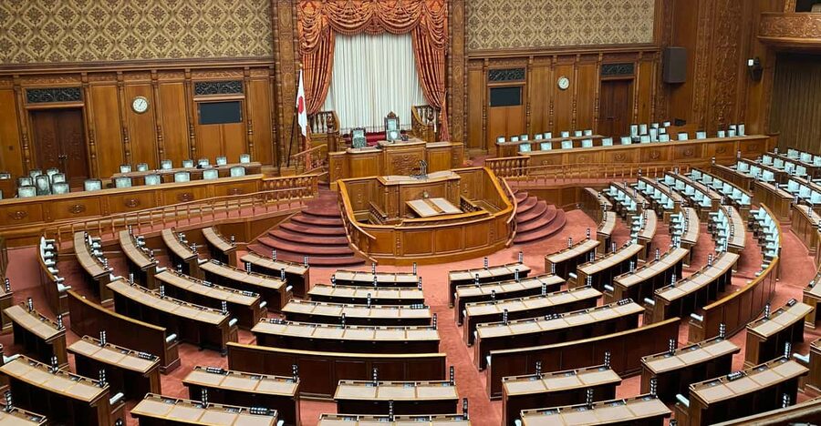 Tameike: Exploring the Heart of Japanese Politics Tour - How to look at the chambers like a voter, not a tourist
