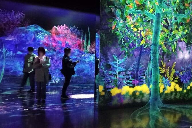teamLab Forest Fukuoka an Immersive Art Experience Ticket - Key things to know before you go