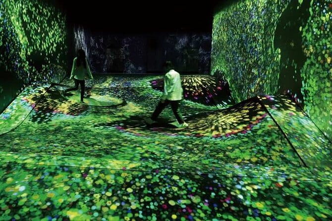 teamLab Forest Fukuoka an Immersive Art Experience Ticket - Entering the forest: Catch and Collect Forest