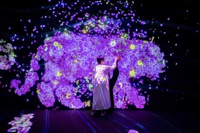 teamLab Forest Fukuoka an Immersive Art Experience Ticket - Accessibility and participation reality check