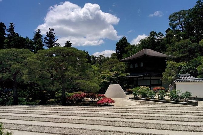 The Kyoto VIP Experience! - Tenryu-ji Temple in 45 minutes: Zen garden time with admission included