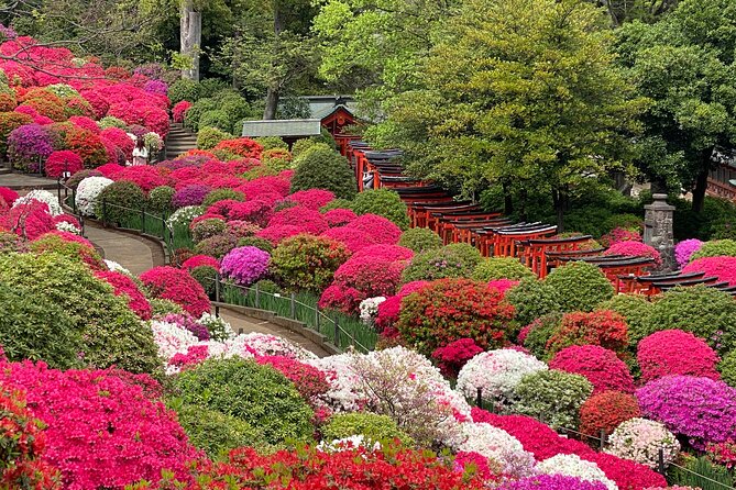 The Old Quarter of Tokyo - Yanaka Walking Tour - Yanaka Cemetery, customs you should know before you walk in