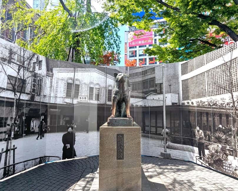 This is Real TOKYO!! SHIBUYA Tour from TGP!! - Omotesando and the walk toward Meiji Shrine: switching gears