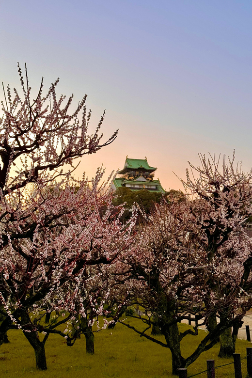 (Ticket Included) Explore Osaka Castle & Museum of History - Key highlights to know before you go