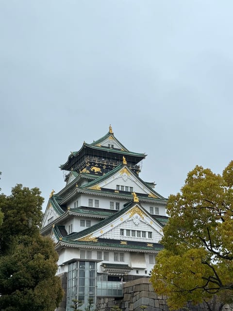 (Ticket Included) Explore Osaka Castle & Museum of History - Meeting point at 難波宮跡 and how to get there without stress
