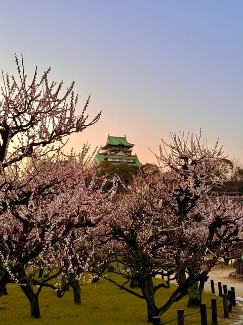 (Ticket Included) Explore Osaka Castle & Museum of History - Cost and value: what $22 really covers