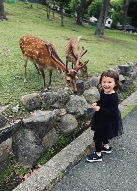 Todaiji Temple, Kasuga Shrine and Nara Park Guided Full Tour - Kasuga Taisha: vermilion buildings, lanterns, and a calmer forest mood