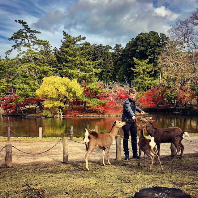 Todaiji Temple, Kasuga Shrine and Nara Park Guided Full Tour - Should you book this Nara guided full tour?