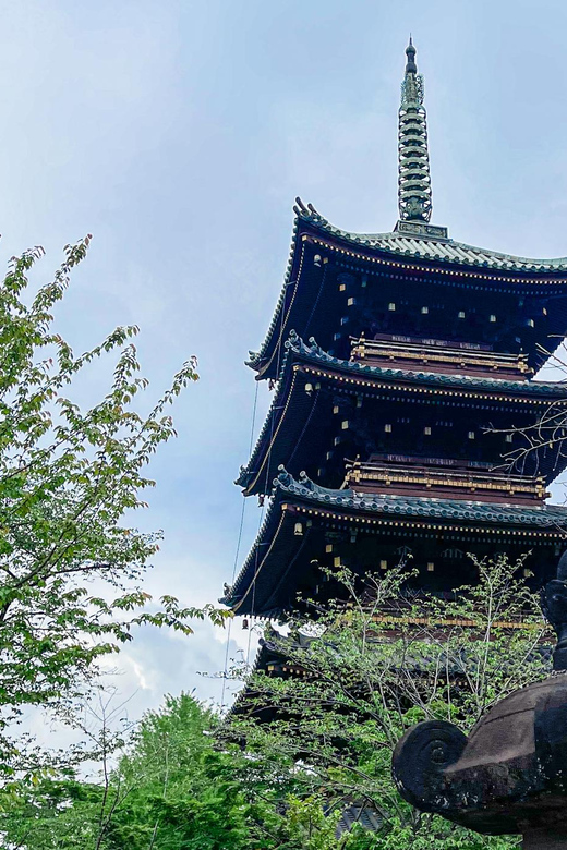 Tokio A: Tour de la ciudad en Español - Spanish - Meeting Point and How to Find Your Guide