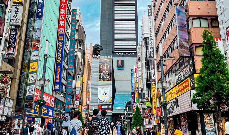 Tokio A: Tour de la ciudad en Español - Spanish - Logistics That Matter: Bags, Pace, and Public Transport Pickups