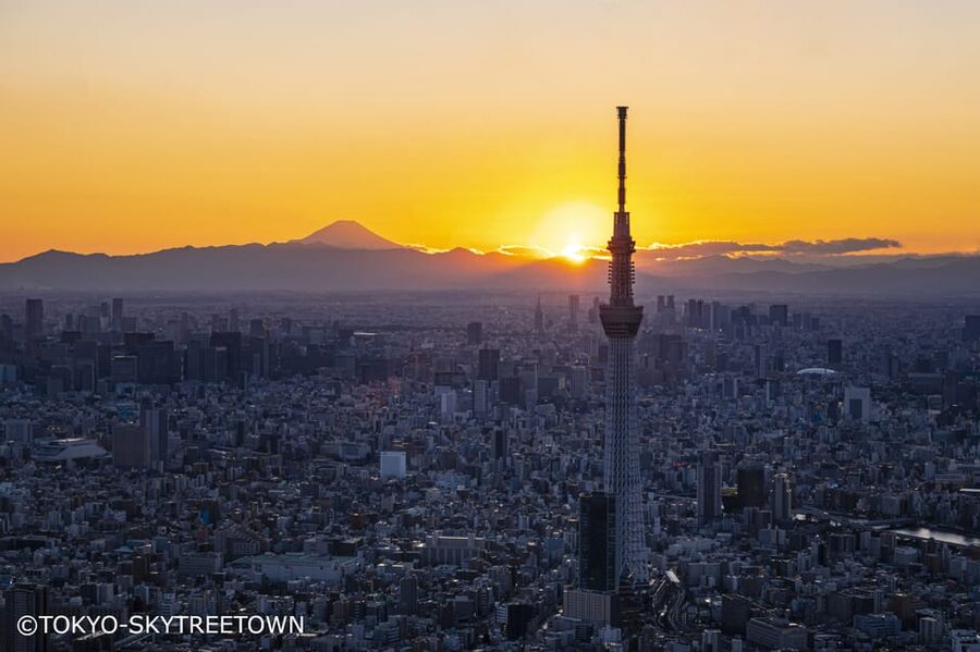 Tokyo: 1 Day Bus Tour with Meiji-Jingu,Odaiba,lunch&Skytree - The Big Value: Why This $83 Day Tour Makes Sense