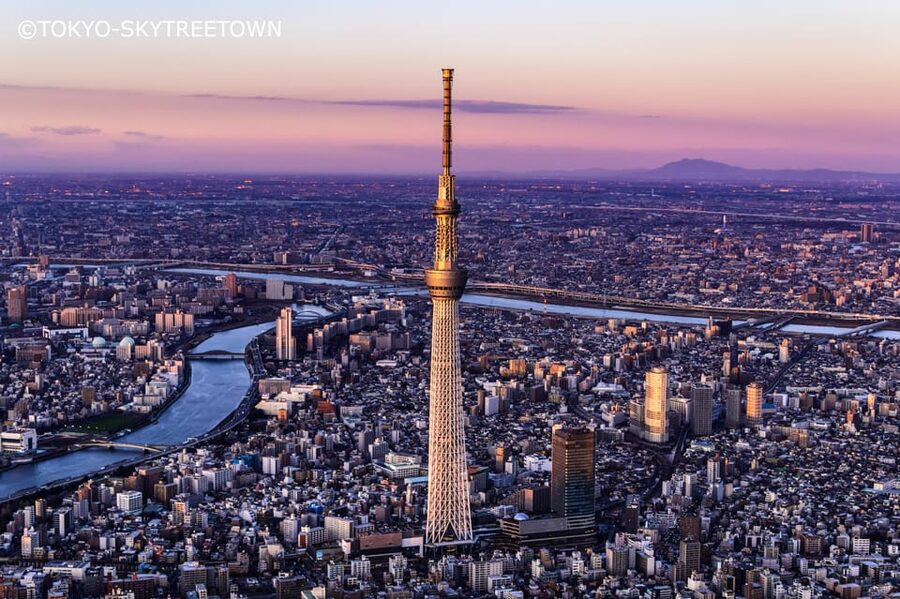 Tokyo: 1 Day Bus Tour with Meiji-Jingu,Odaiba,lunch&Skytree - Meiji Jingu Forest Walk and a Casual Tea Moment