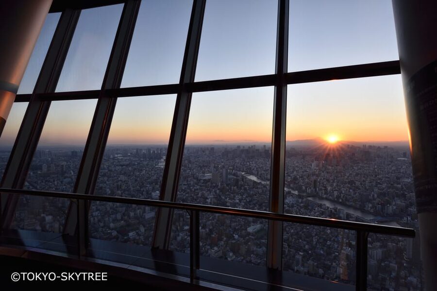 Tokyo: 1 Day Bus Tour with Meiji-Jingu,Odaiba,lunch&Skytree - Imperial Palace Plaza Photo Stop Without Palace Entry