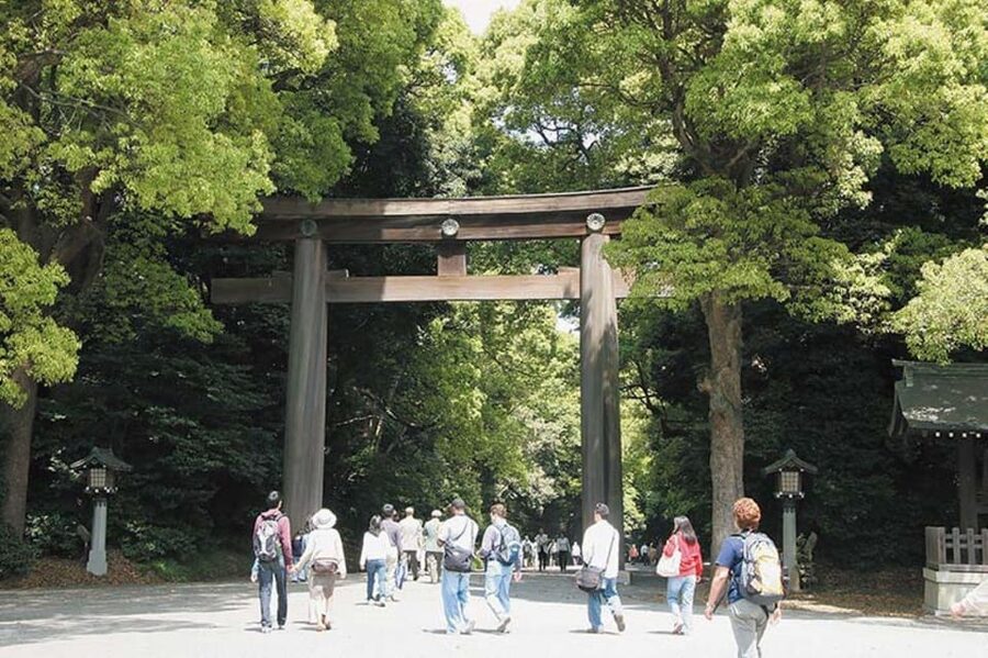 Tokyo: 1 Day Bus Tour with Meiji-Jingu,Odaiba,lunch&Skytree - How the Day Feels: Bus Comfort, Walking Steps, and Group Flow