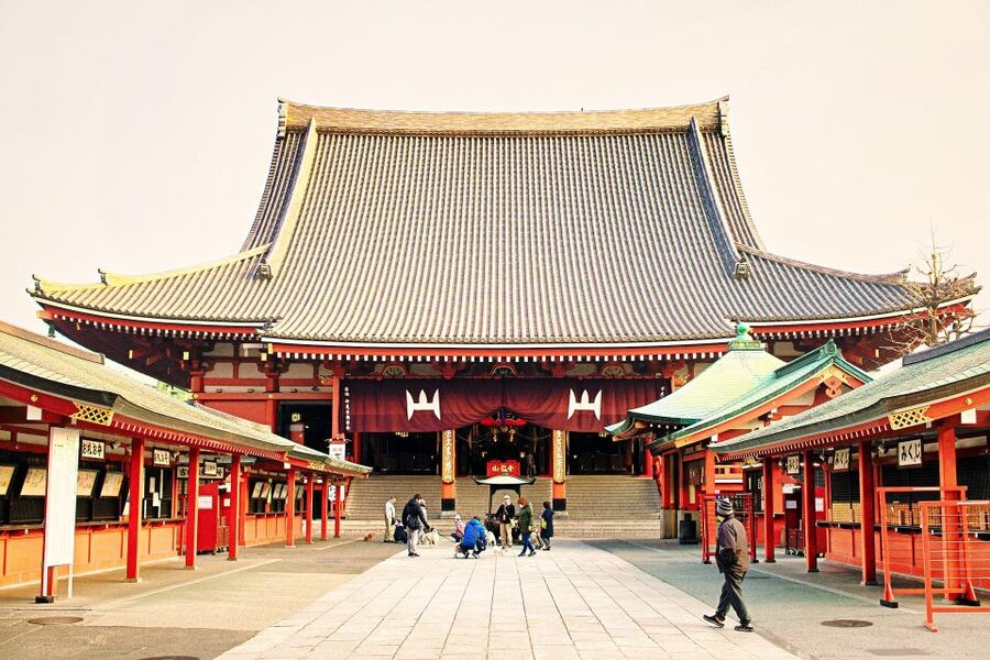 Tokyo: 1-Day Private Customizable Tour by Car - Key things that make this Tokyo private car day work