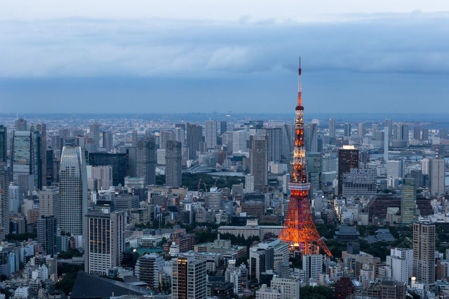 Tokyo: 1-Day Private Customizable Tour by Car - Why a private car tour is such a smart way to see Tokyo