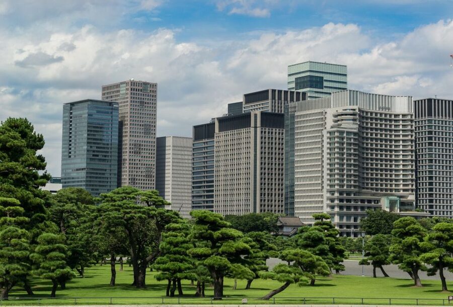 Tokyo: 1-Day Private Customizable Tour by Car - Imperial Palace East Gardens: photos and a calmer pace