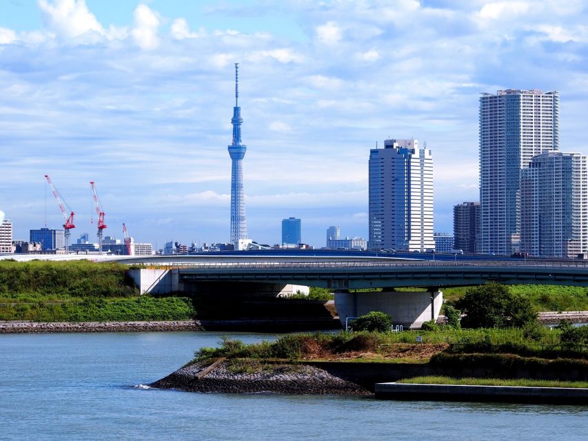 Tokyo: 1-Day Private Customizable Tour by Car - Odaiba: futuristic Tokyo Bay panoramas
