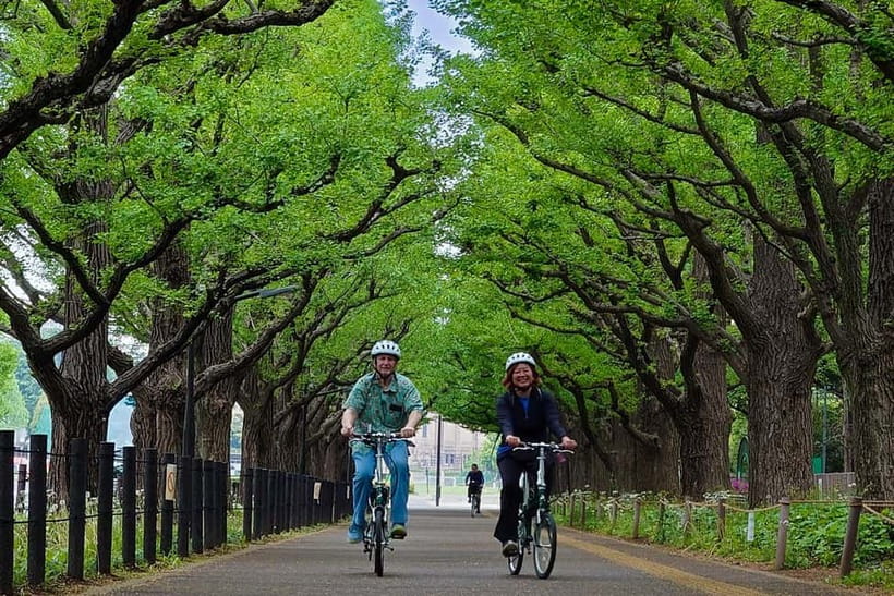Tokyo: 3h Private E-bike Tours, Starting at Your Hotel - Safety, Fit, and Rules That Keep the Ride Comfortable
