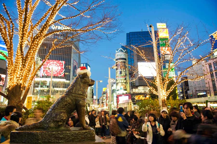 Tokyo: 4 Hours Shibuya - Shinjuku Night Tour - Godzilla Head and Omoide Yokocho, Old-School Side Streets