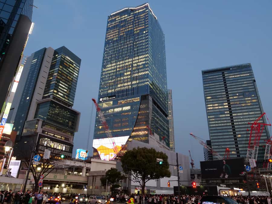 Tokyo: 4 Hours Shibuya - Shinjuku Night Tour - Practical Tips: Cash, Shoes, Dietary Needs, and Night Messaging
