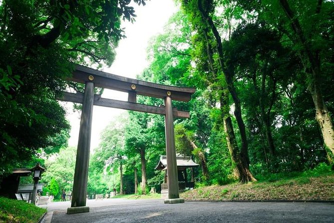 Tokyo 6hr Private Tour with Government-Licensed Guide - Modern Tokyo in small doses: Shibuya, Harajuku, Akihabara, Odaiba, Tokyo Tower, and Golden Gai