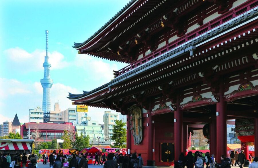Tokyo: A Half-Day Trip Bus Tour in the Morning - Should you book this Tokyo morning bus tour?