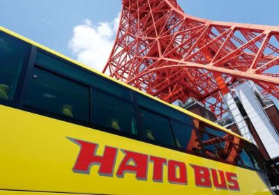 A Half-Day Trip Bus Tour in the Morning