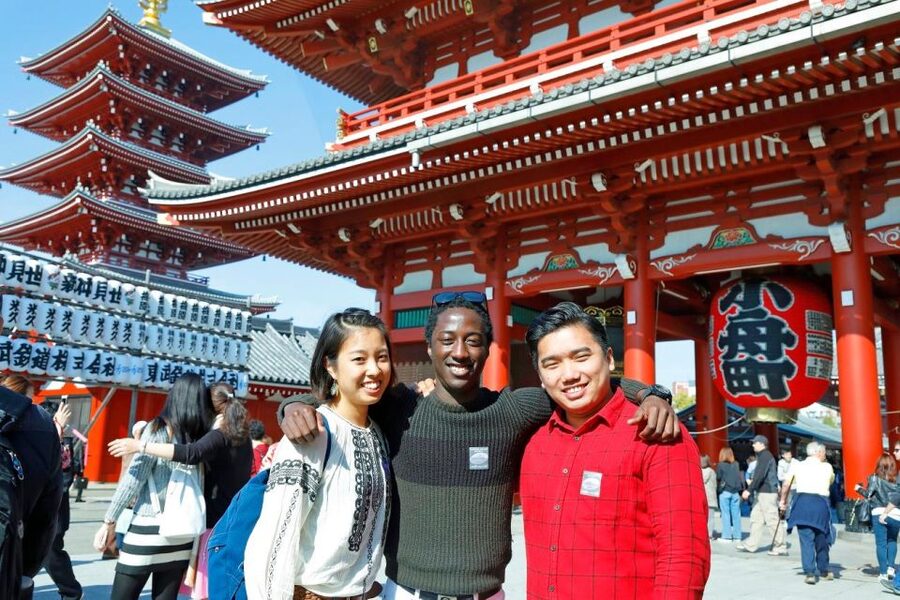 Tokyo: A Half-Day Trip Bus Tour in the Morning - Who this tour fits best, and who should look elsewhere