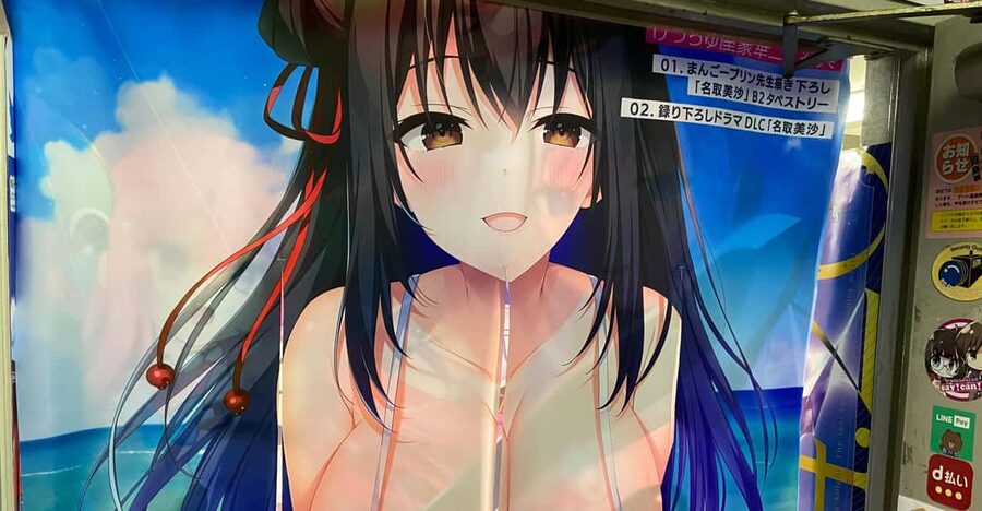 Tokyo: Akihabara Private Hentai Tour - Akihabara in 3 Hours, With a Guide Who Keeps It Straight