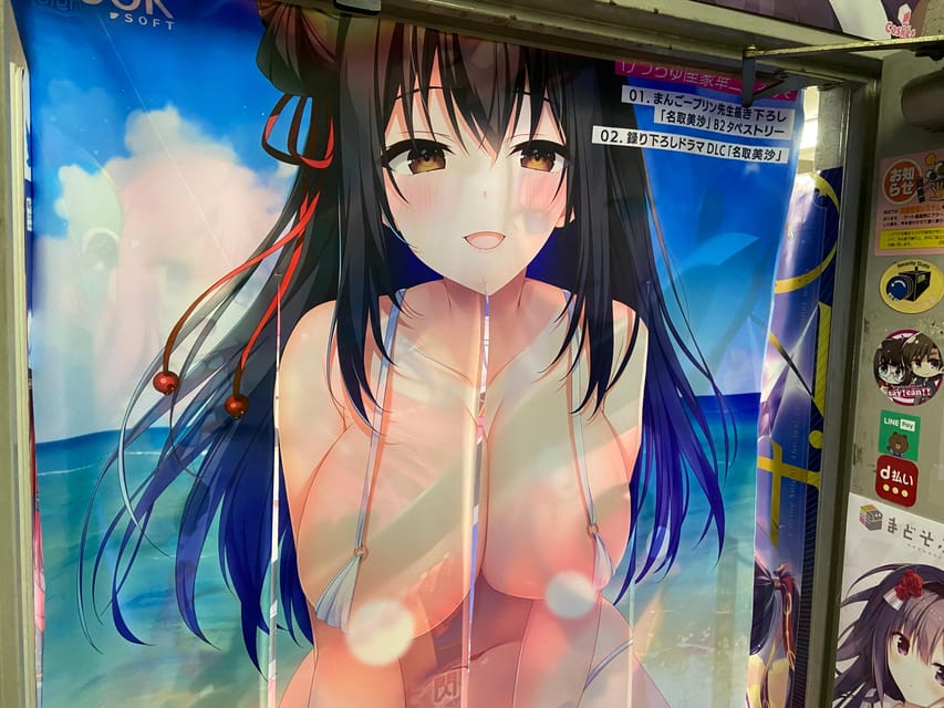 Tokyo: Akihabara Private Hentai Tour - Shopping for Video Games and Manga, With Real Translation Help