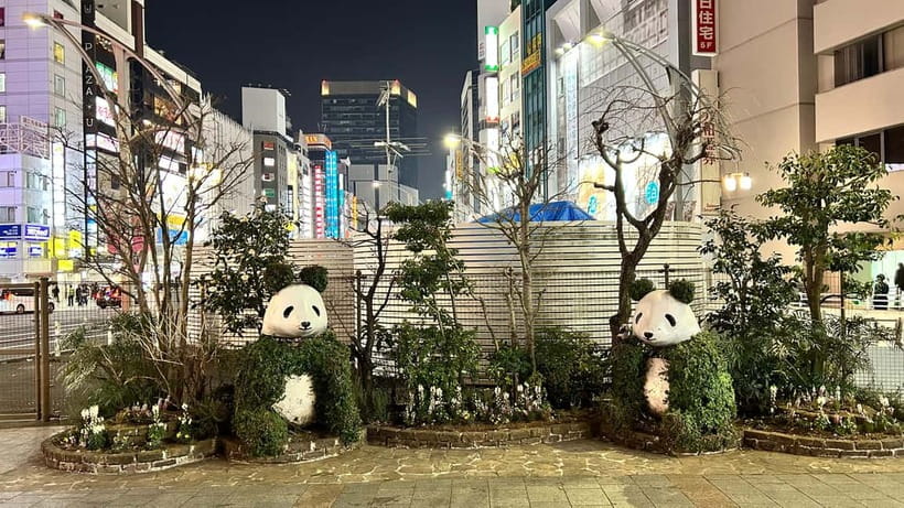 Tokyo: Akihabara, Shibuya, Karaoke & City Lights Night Tour - Akihabara by Train, Free Browsing for Electronics and Otaku Culture