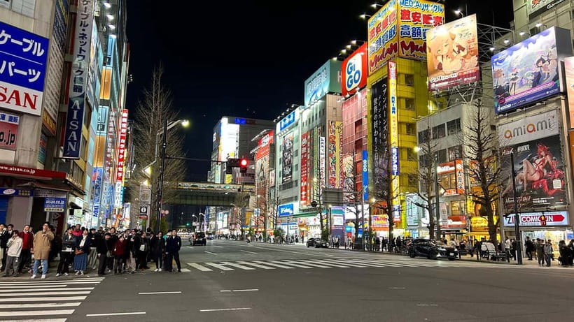 Tokyo: Akihabara, Shibuya, Karaoke & City Lights Night Tour - Logistics That Make or Break a Night Tour