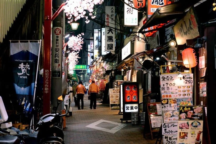 Tokyo: Akihabara, Shibuya, Karaoke & City Lights Night Tour - Who This Tour Fits Best in Tokyo