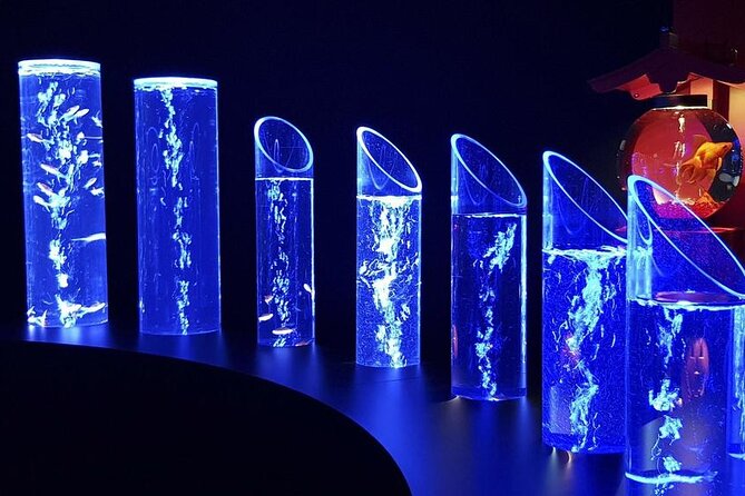 Tokyo Art Aquarium Museum E-Ticket with optional Tokyo Metro Pass - Light, sound, and fragrance: why the sensory design matters