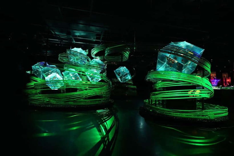 Tokyo: Art Aquarium Museum GINZA Entry Ticket - Your 1-Hour Route: What the Museum Experience Feels Like