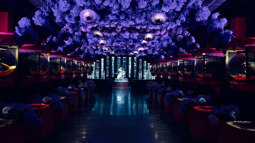 Tokyo: Art Aquarium Museum GINZA Entry Ticket - The Edo Goldfish Idea, Reimagined for Modern Eyes
