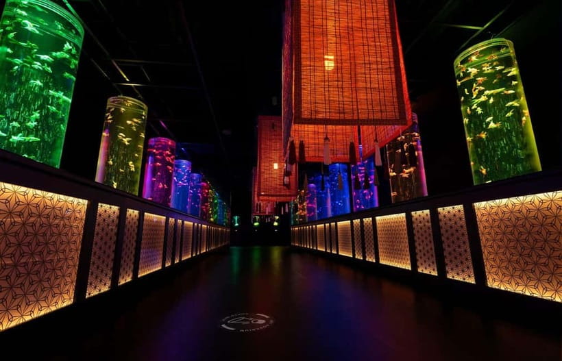 Tokyo: Art Aquarium Museum GINZA Entry Ticket - Goldfish Photography Tips, Plus the Rules You Must Follow