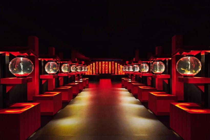Tokyo: Art Aquarium Museum GINZA Entry Ticket - Information in English and What to Read While You Wait for the Fish