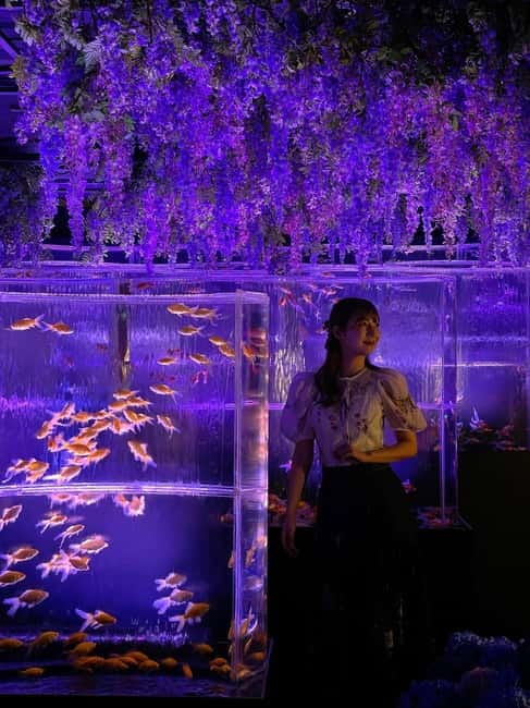 Tokyo: Art Aquarium Museum GINZA Entry Ticket - Price and Timing: Getting Value From a Short Visit