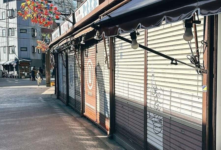 Tokyo: Asakusa, Kappabashi, and Ueno Walking Tour - Ueno Ameyoko Shopping Street, ending with a market that feels lived-in