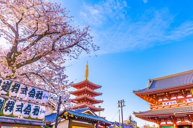 Tokyo: Asakusa & Sensoji ー Oldest Temple Walking Tour (2hrs) - From Thunder Gate to Senso-ji: why this walk works