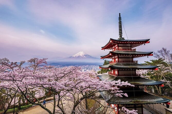 Tokyo: Asakusa Temple & Shrine Walking Tour with Local Guide - Nakamise Shopping Street: What to Taste, What to Buy, and What It Means