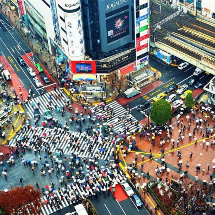 Tokyo City: Customize Day Tour English Speaking Chauffer - Tsukiji Fish Market: Food Town energy with guided time